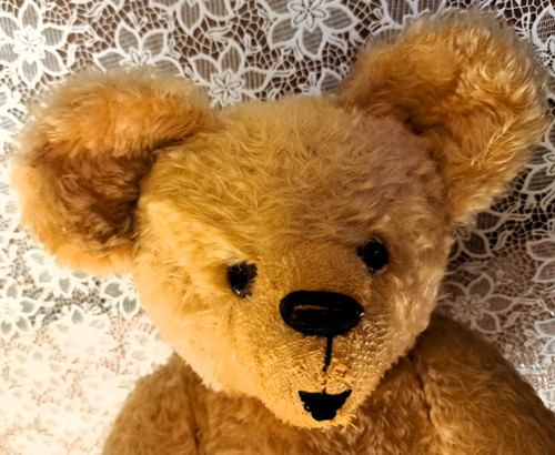Teddy bear with glass eyes 1920s or 1930s height 57 cm