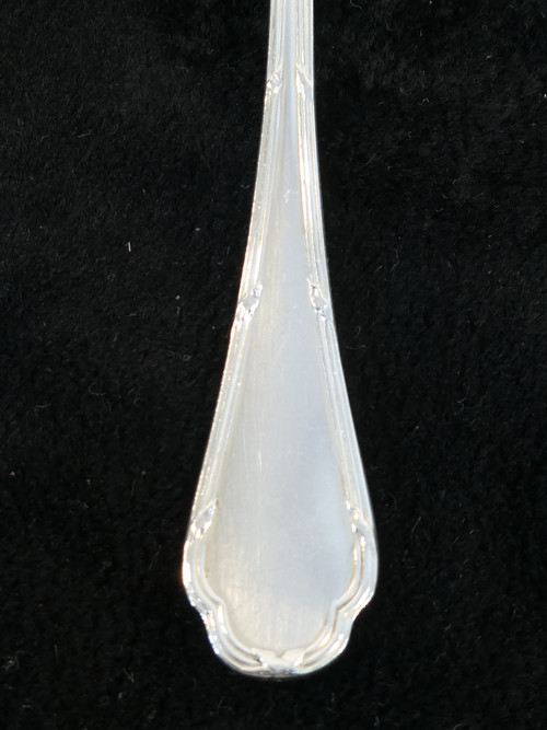 ERCUIS 12 teaspoons in silver metal, TRIANON model