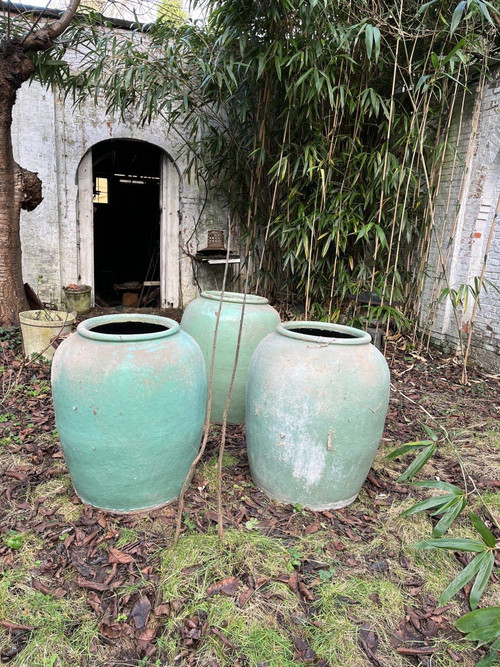 Grande Jarre du Sud Est Asiatique En Grès Céladon
