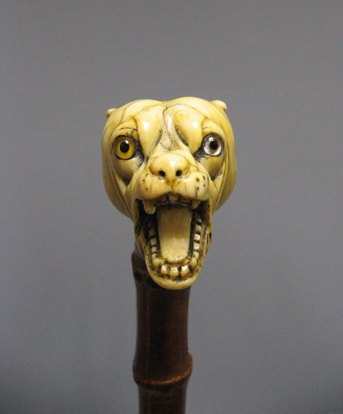 Canne à tête de chien.
