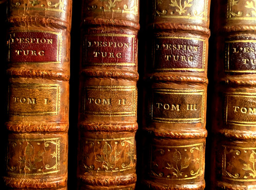 7beaux volumes in 12 . A Amsterdam 1756  :" l'Espion dans les Cours des Princes Chrétiens" , où Mémoires pour servir à l'Histoire de ce Siècle