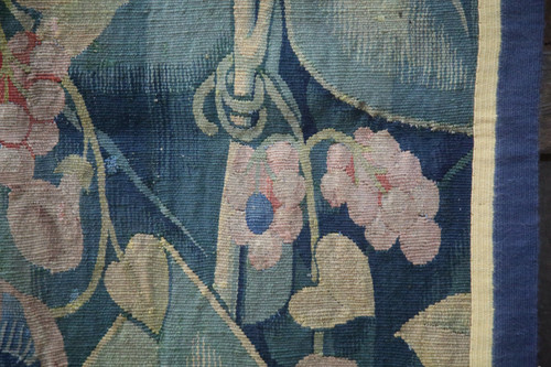 -Aristoloche, Southern Netherlands around 1530.