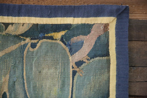 -Aristoloche, Southern Netherlands around 1530.