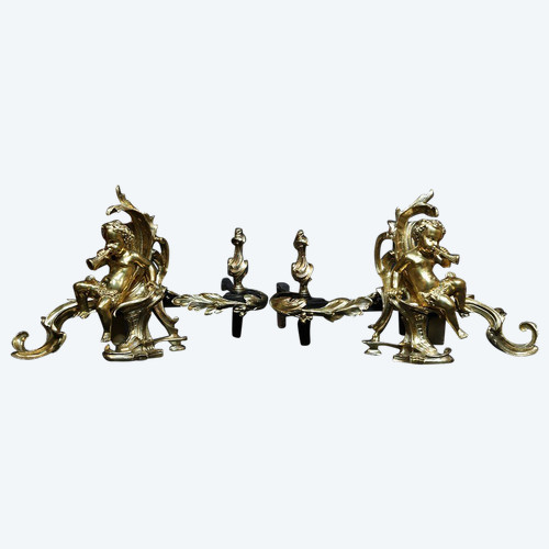 Paire De Chenets En Bronze Ciselé Et Doré 18th Century