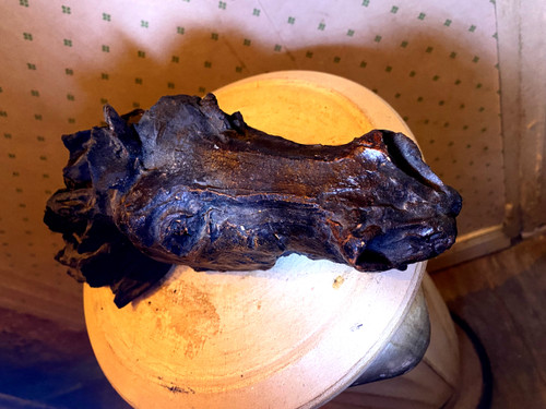 Espressiva testa di cavallo in terracotta colorata firmata da Raider Catrubuten degli anni '60/'70