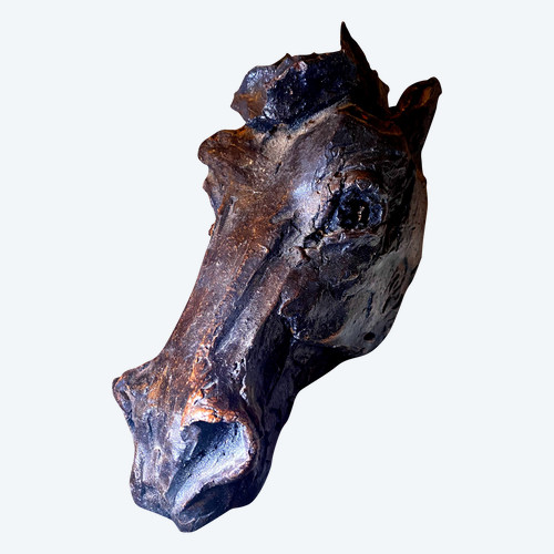 Horse head in expressive tinted terracotta signed by Raider Catrubuten from the 60s/70s