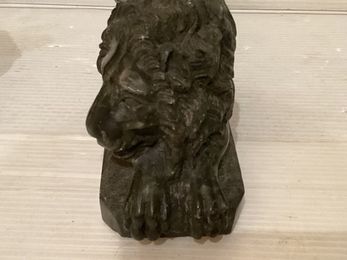 Coppia di leoni