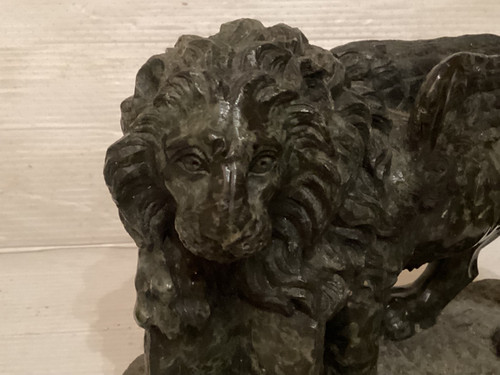 Coppia di leoni
