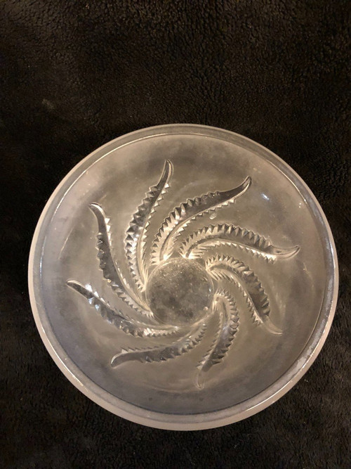 Vase Fougères Lalique Frankreich Circa 1940-50