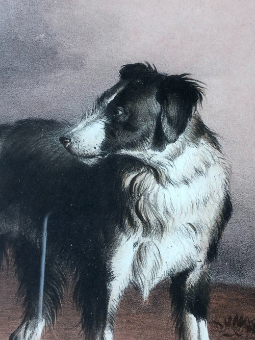 Thomas Sidney Cooper (1803-1902) - Le Repos - Aquarelle Gouaché
