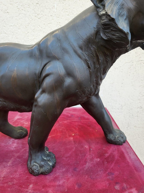 Tigre, Bronzo Giappone, Era Meiji, XIX secolo