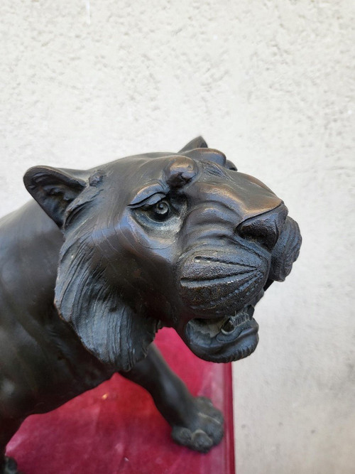 Tigre, Bronzo Giappone, Era Meiji, XIX secolo