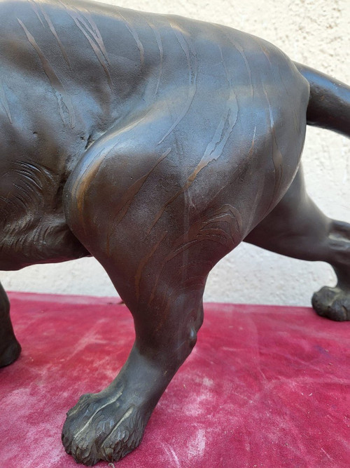 Tigre, Bronzo Giappone, Era Meiji, XIX secolo