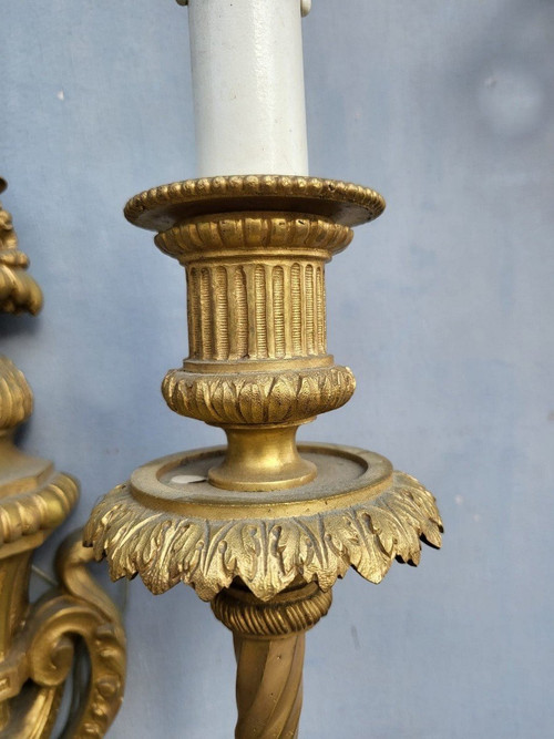 Paire d'Appliques En Bronze Doré Louis XVI, XIXème Siècle