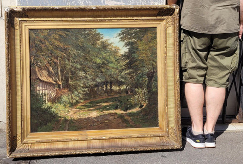 Ecole De Barbizon, Paysage De Sous-bois, XIXème Siècle