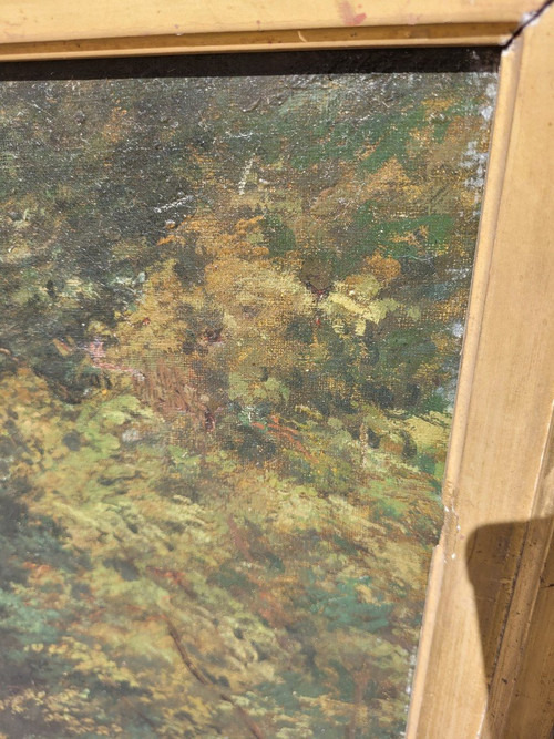 Ecole De Barbizon, Paysage De Sous-bois, XIXème Siècle