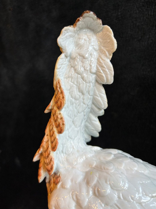 Pair Of Porcelain Birds - Meissen - Saxony - 19th century