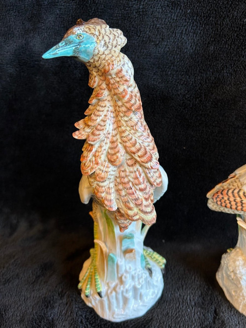 Pair Of Porcelain Birds - Meissen - Saxony - 19th century