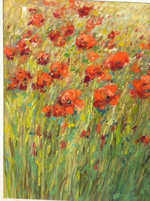 Pastel -fields Of Poppies Signature to be determined About 1950