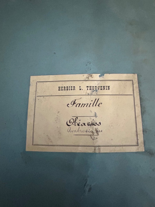 Rare Ensemble De Neuf Volumes D’herbier L Thouvenin Vers 1880-90