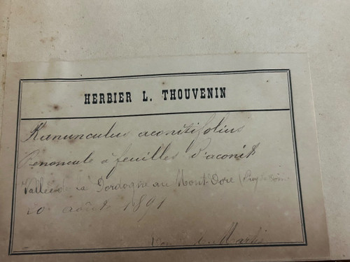 Rare Ensemble De Neuf Volumes D’herbier L Thouvenin Vers 1880-90