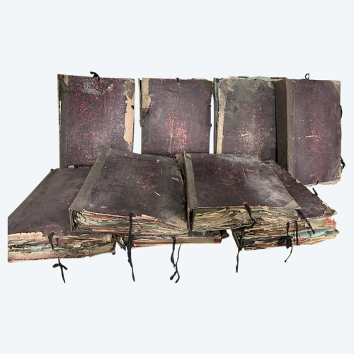 Rare Ensemble De Neuf Volumes D’herbier L Thouvenin Vers 1880-90