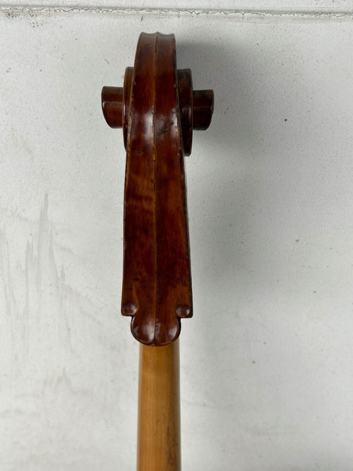 Antique Companion Cello - Violin - H 113 Cm