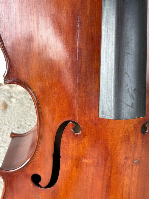 Antique Companion Cello - Violin - H 113 Cm