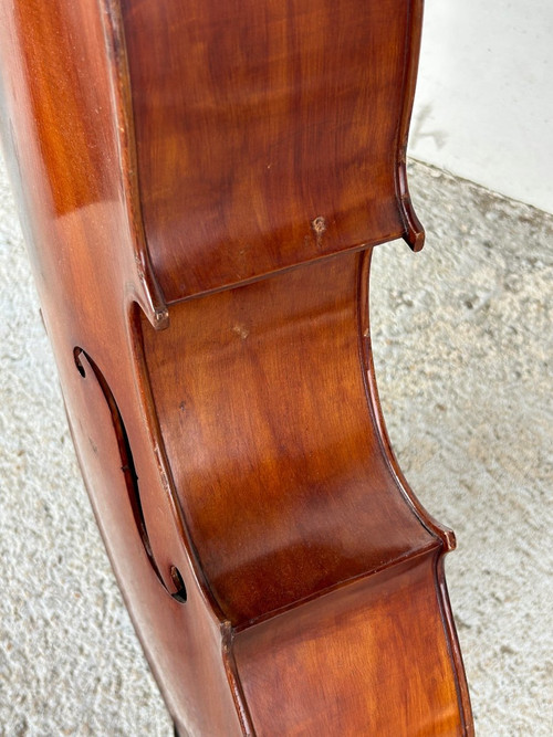 Antique Companion Cello - Violin - H 113 Cm