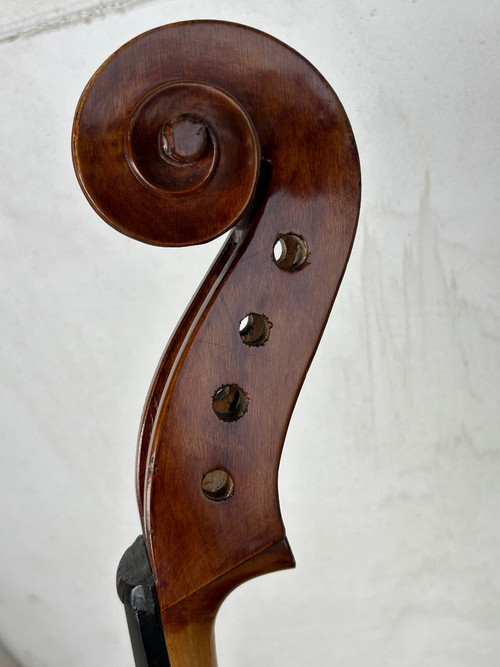 Antique Companion Cello - Violin - H 113 Cm