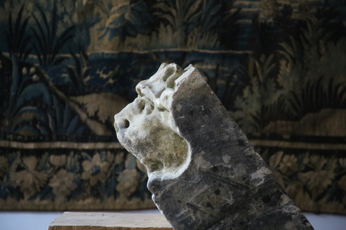 Maschera da fontana, maschera felina in pietra del XVIII secolo