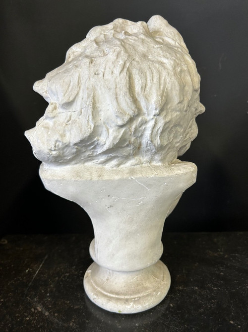 Rude François ( 1784-1855) Dopo la testa di un antico gallo Busto in gesso H 39 cm