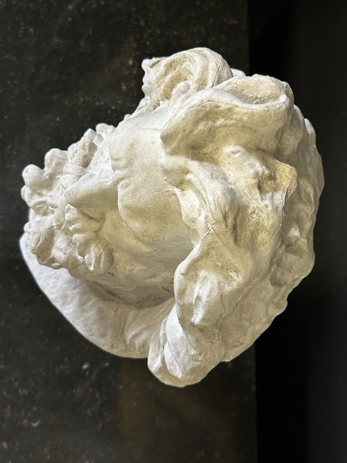 Rude François ( 1784-1855) Dopo la testa di un antico gallo Busto in gesso H 39 cm