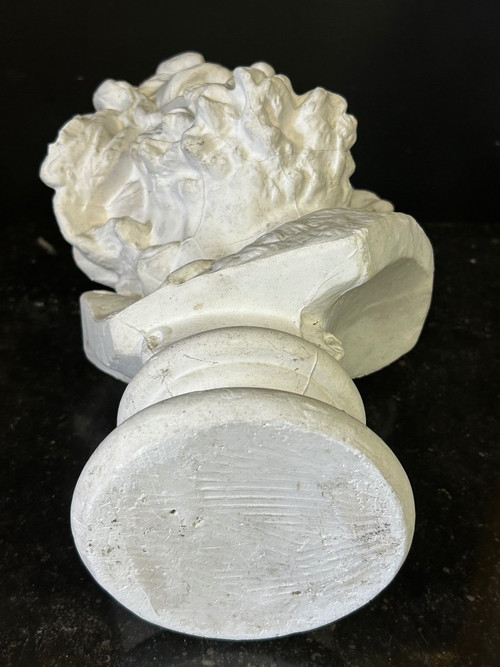 Rude François ( 1784-1855) Dopo la testa di un antico gallo Busto in gesso H 39 cm