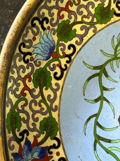 Assiette émail Cloisonnée Chine Fin XIXe