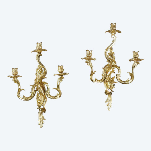 Paire d'appliques en bronze doré à trois bras de lumière de Style Louis XV