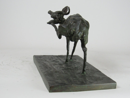 Antelope scratching itself. Animal bronze by Guido Righetti – (1875-1958)