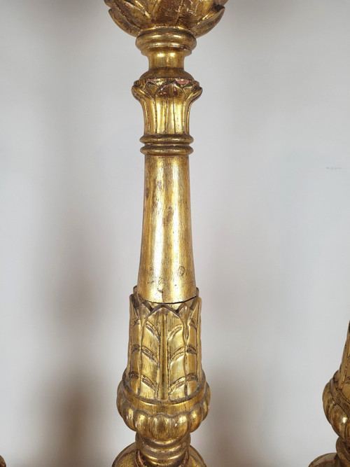 Suite Of 3 Large Candlesticks In Golden Wood, Early 19th Century