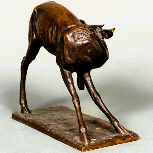 Giovane antilope di Sirio Tofanari