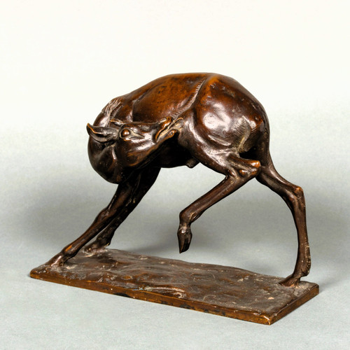 Giovane antilope di Sirio Tofanari