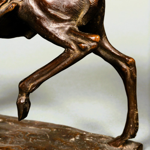 Giovane antilope di Sirio Tofanari