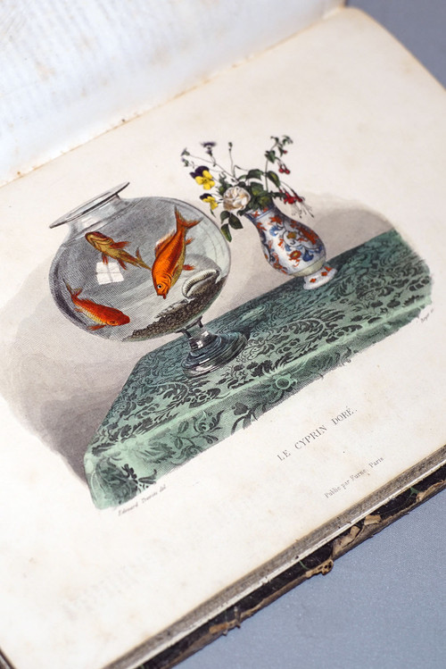 Histoire Naturelle De Lacépède, Tome II.