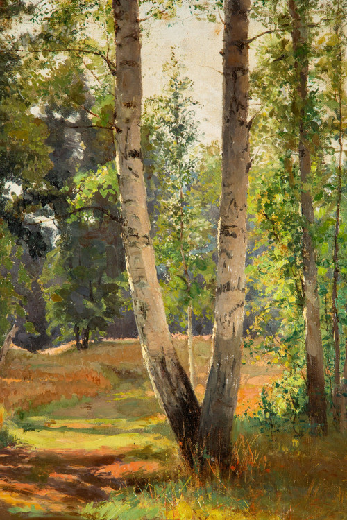 Vue d'un sous bois,  tableau daté 1901, huile sur toile de Feodor Petrovich Riznischenko (1865-1922)