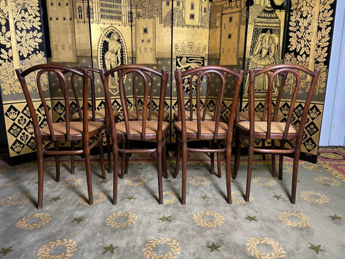 Suite di 8 sedie da bistrò Thonet 56