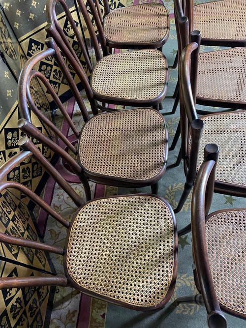 Suite di 8 sedie da bistrò Thonet 56