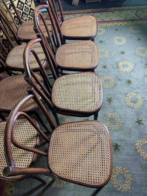 Suite di 8 sedie da bistrò Thonet 56
