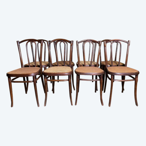 Suite di 8 sedie da bistrò Thonet 56