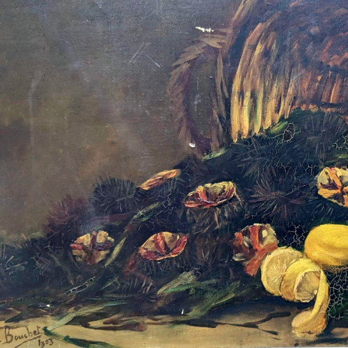 Öl auf Leinwand Stillleben mit Seeigeln und Zitronen, signiert Bouchet 1903