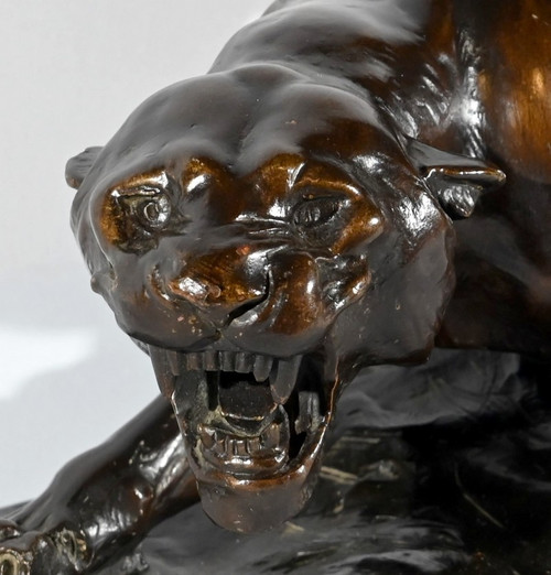 Scultura in terracotta "Tigre in caccia", firmata T.Cartier - Inizio del XX secolo