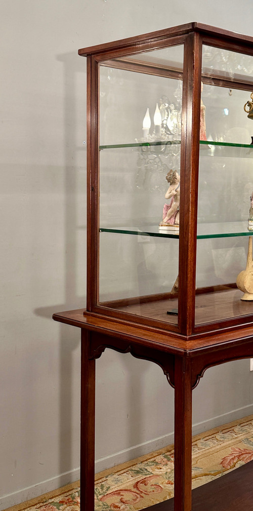 Rare Vitrine d'Exposition Musée Collectionneur En Acajou Epoque Art Nouveau Vers 1890